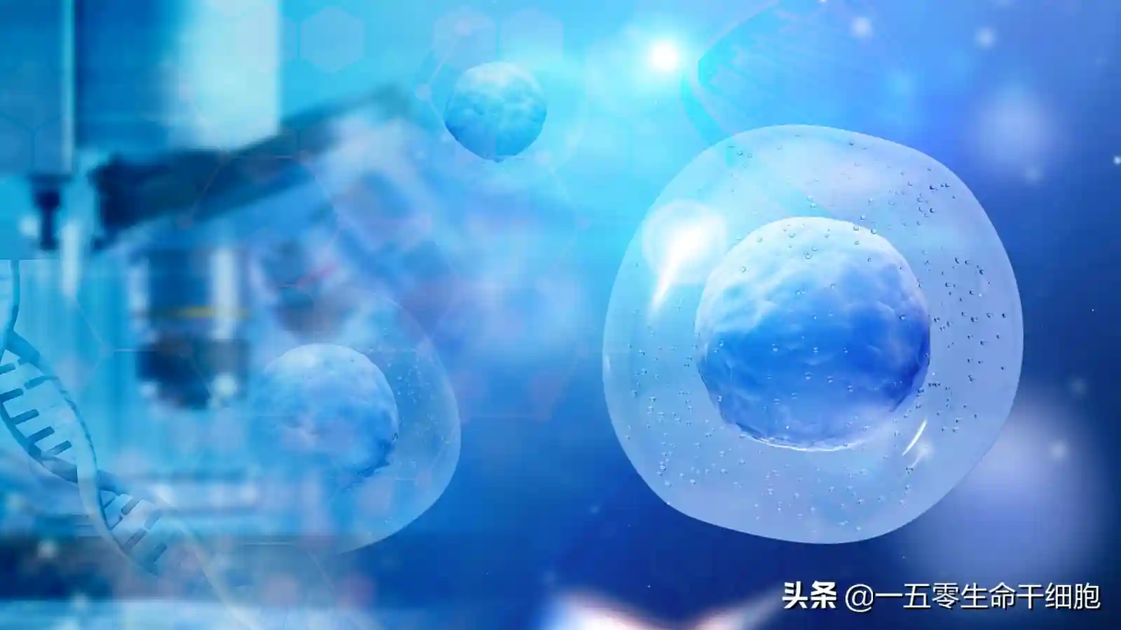 我国干细胞的最新研究进展与临床应用近况