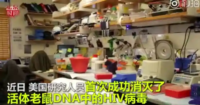 “上帝之剪”清除HIV？艾滋病专家：从老鼠到人就像地球到月球