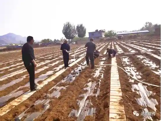 北票大三家镇扶贫微农场再注“造血”功能