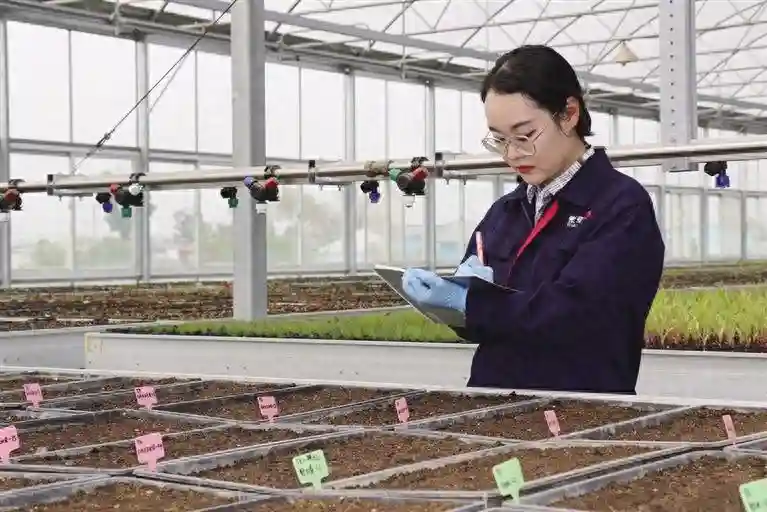 呼和浩特：链起空天梦 竞逐新赛道