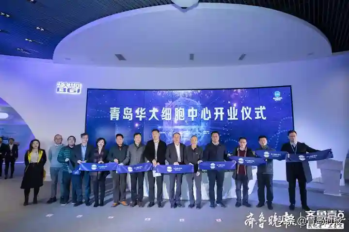 华大青岛细胞中心启用，建设辐射山东乃至华北地区细胞资源库