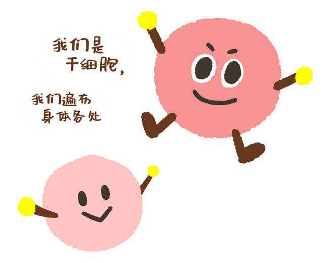 21CC肿瘤情报（第10期）：百济神州PD-1获批第9项适应症；全球首个靶向Trop-2的ADC药物在中国获批