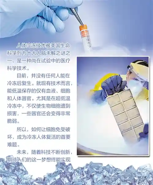 冷冻人：复活还只是梦想