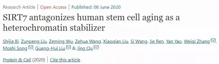 中科院揭示SIRT7延缓人干细胞衰老的新型表观遗传机制