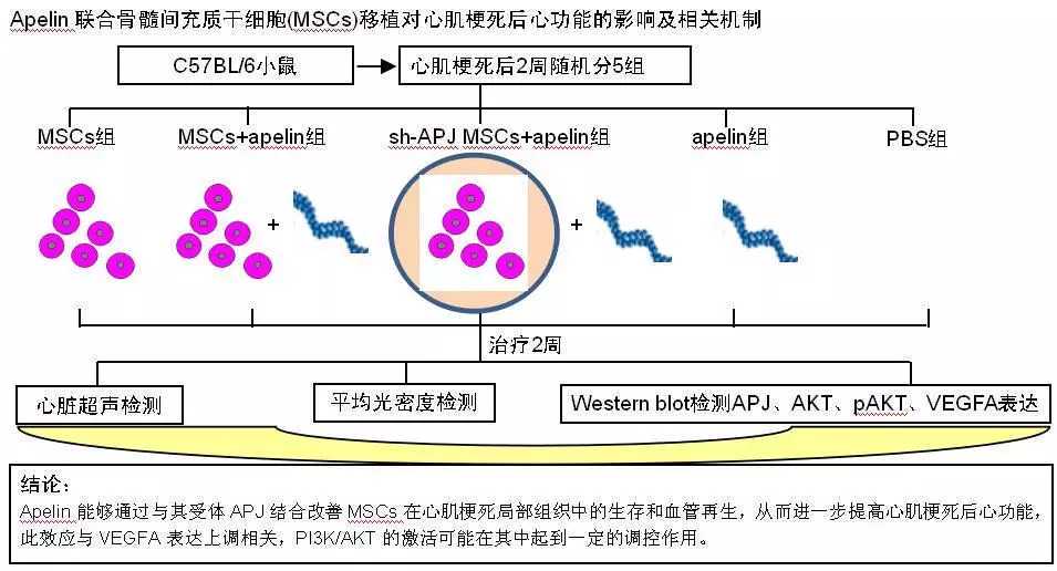 头秃无需“移山填海”,未来或可直接植入新毛囊
