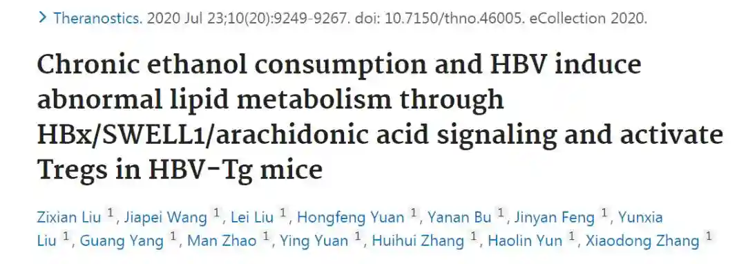 Theranostics：长期乙醇摄入可加重HBV诱导的脂质代谢异常并激活Treg细胞