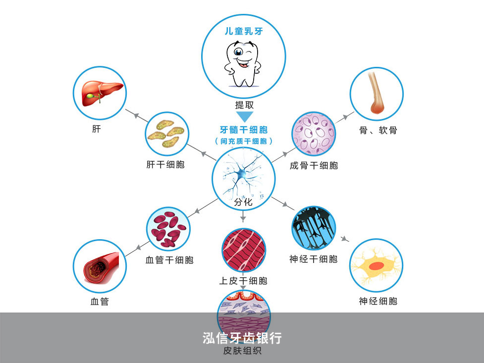 今年第一批公示出炉，亦庄新城市级“专精特新”企业拟再增62家