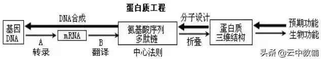 高中生物选修三知识点总结