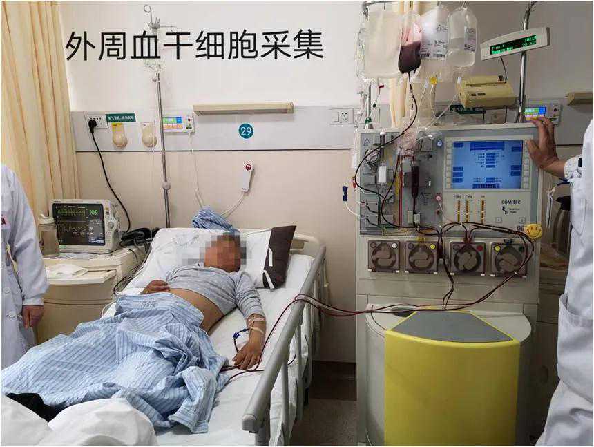 催奶必备神器：田七人参炖土鸡