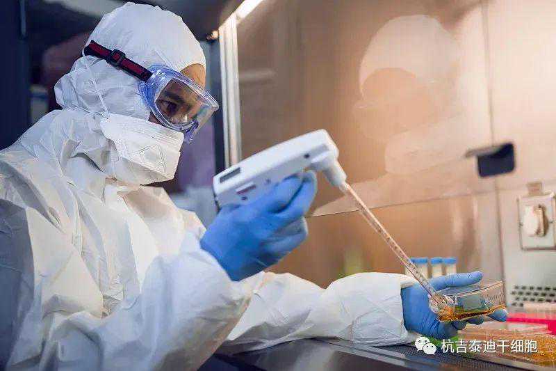 肾功能衰竭不好治？试试这几味药