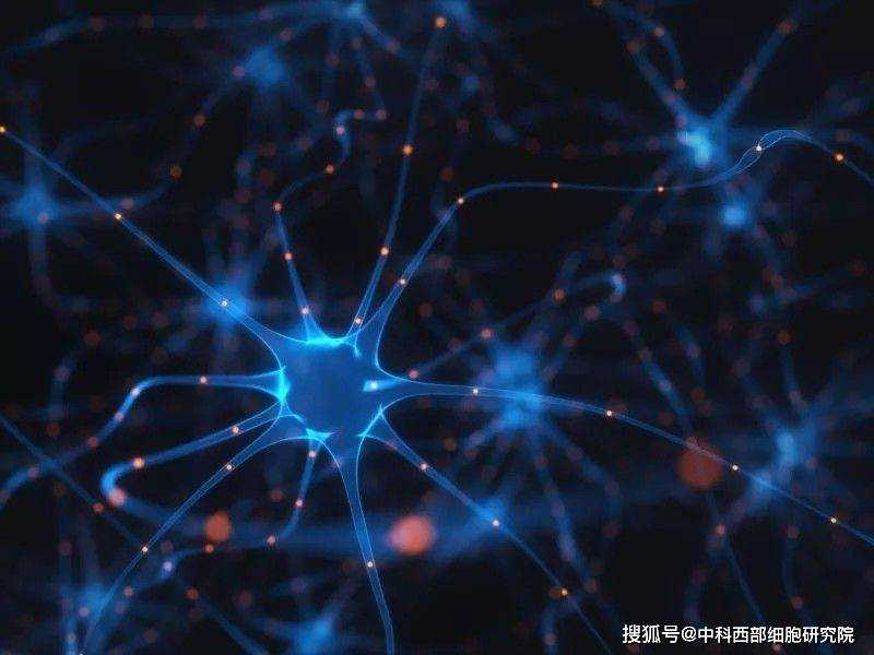 乡贤踊跃献爱心 联合·众贤博爱基金成立