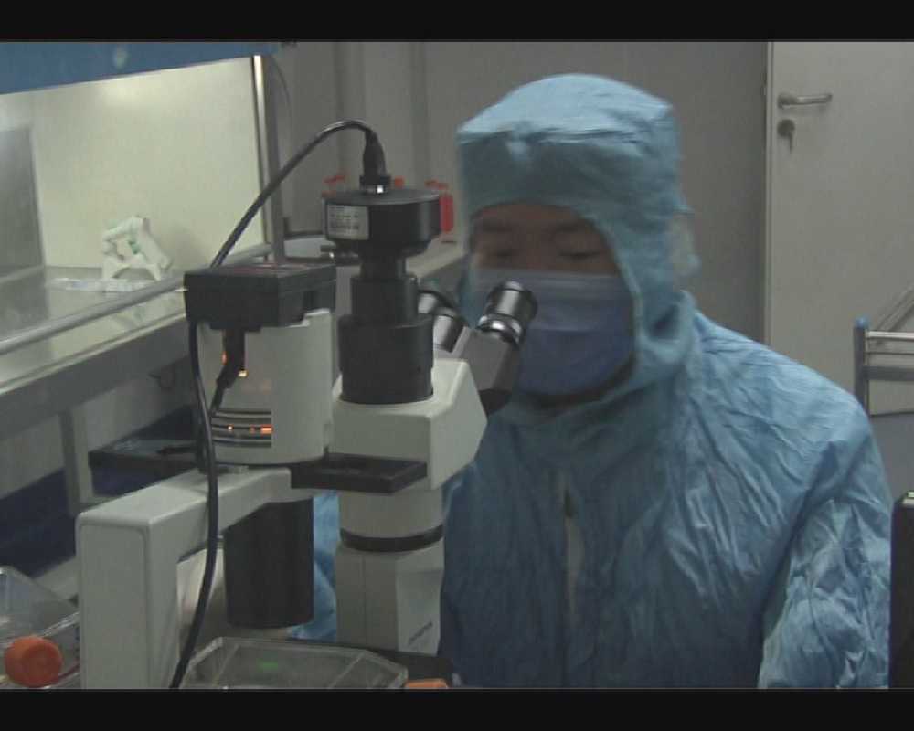 科技部：已研发出静注新冠肺炎人免疫球蛋白 可用于临床救治及高危人群被动免疫保护