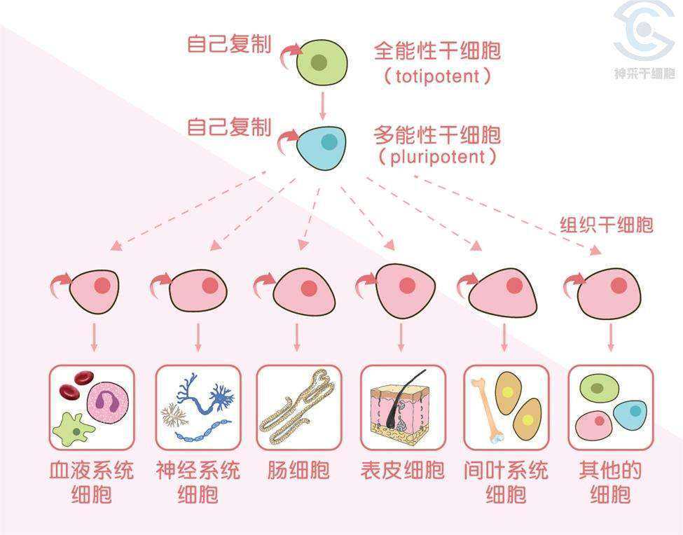 全球连线丨“克隆”技术还原巴米扬和敦煌文物，带你穿越时空