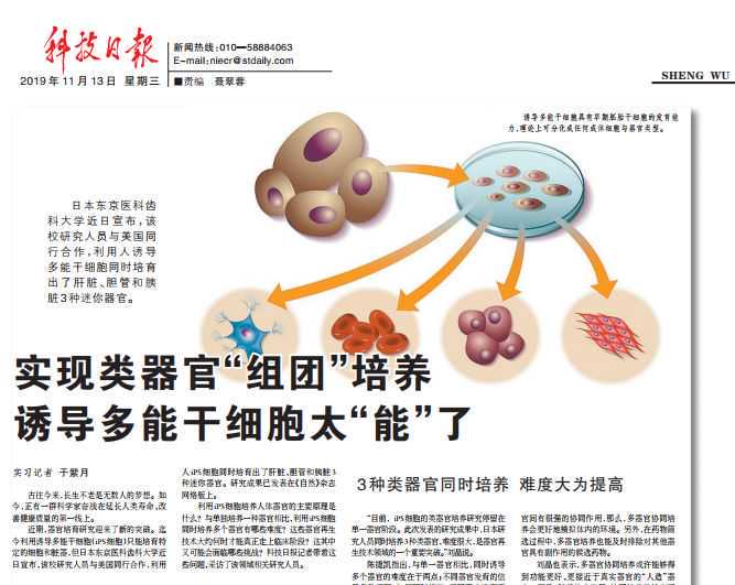 这盏能亮十天的“灯”，可以为手术刀导航