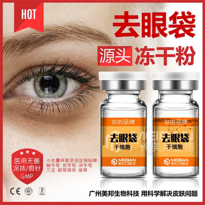 养猫家庭常备药品清单一览！猫咪生病不用慌