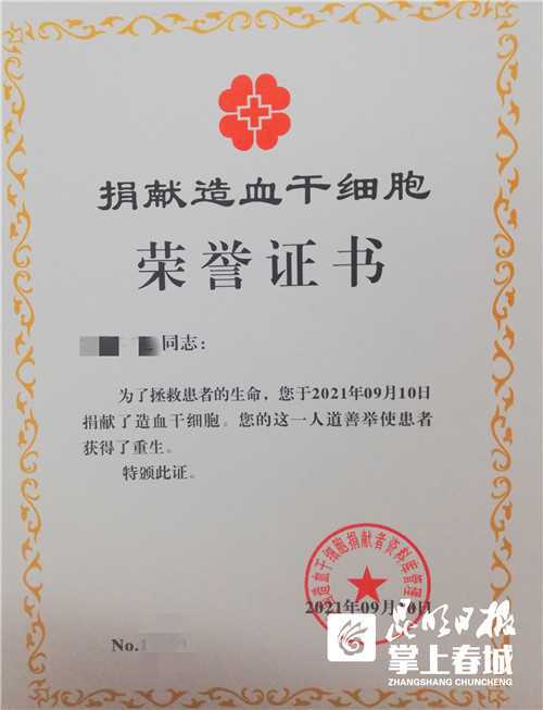 动态压力对负载胰岛素样生长因子1基因兔脂肪间充质干细胞增殖能力和机械性能的影响