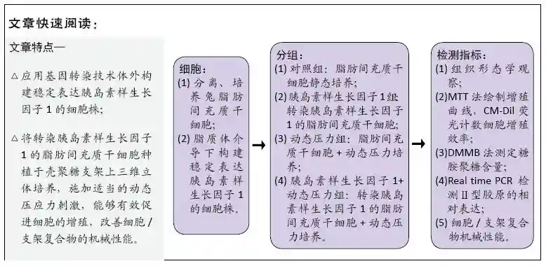 动态压力对负载胰岛素样生长因子1基因兔脂肪间充质干细胞增殖能力和机械性能的影响
