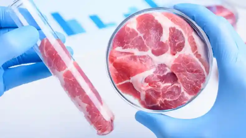 干细胞培养人造肉靠谱吗？