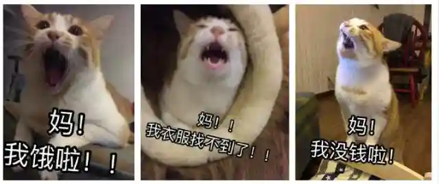 推荐几款最适合送给妈妈的化妆品！“我说不要我女儿非给我买”