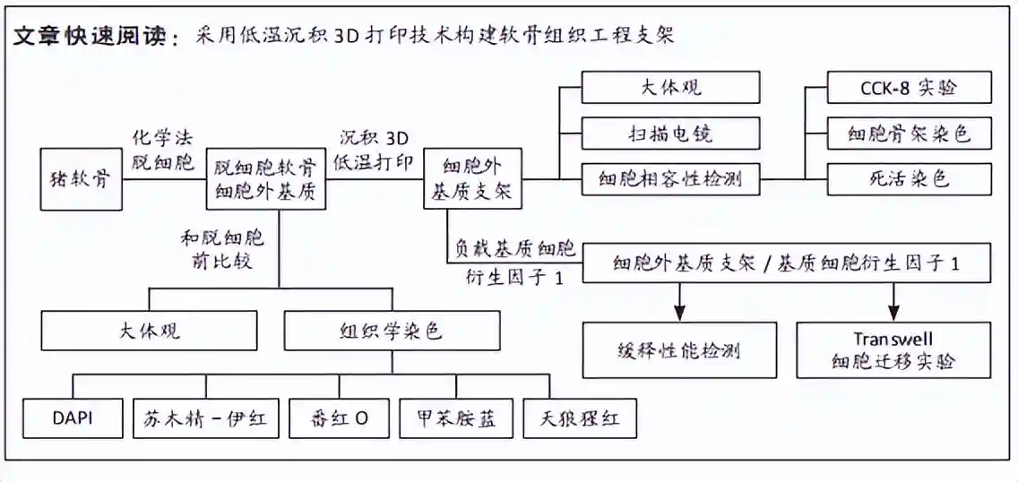 低温沉积3D打印负载基质细胞衍生因子1的分级多孔软骨复合支架