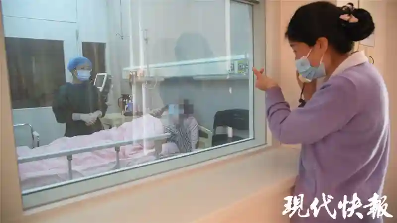 首例！-196℃液氮保存，33小时1000公里运送“生命种子”