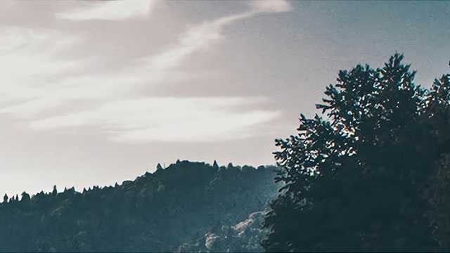 拥有不死之身的两种生物，可能来自外星球